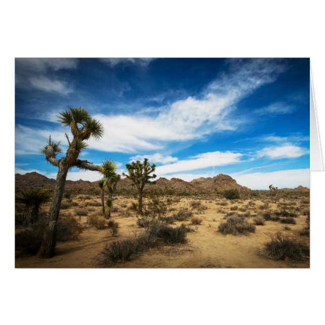 Joshua Tree blue sky (Front Horizontal)