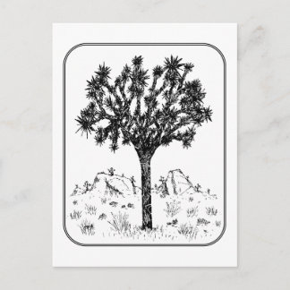 Joshua Tree (Border) Postcard