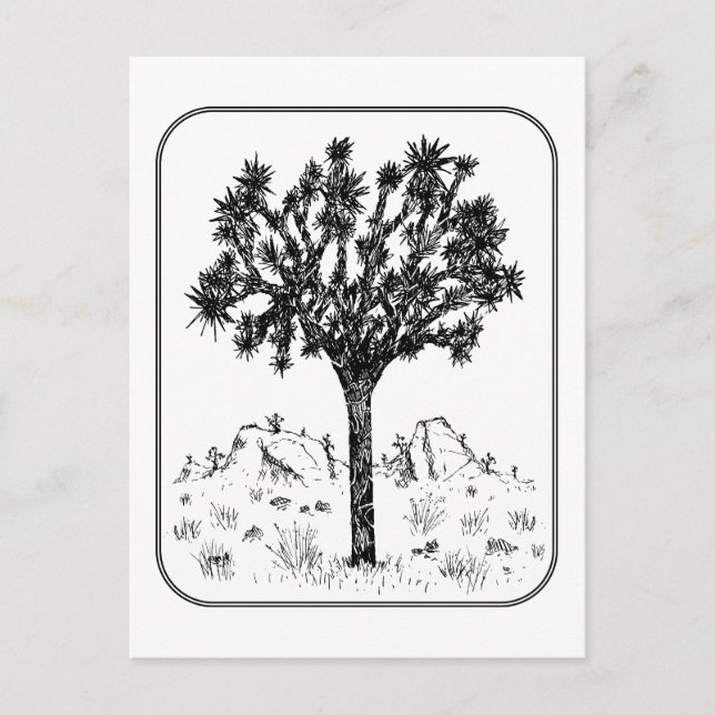 Joshua Tree (Border) Postcard (Front)