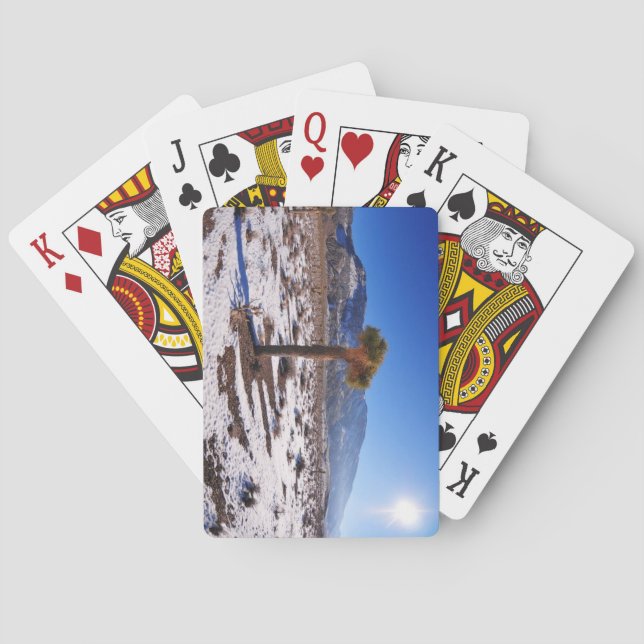 Joshua Tree, California Playing Cards (Back)