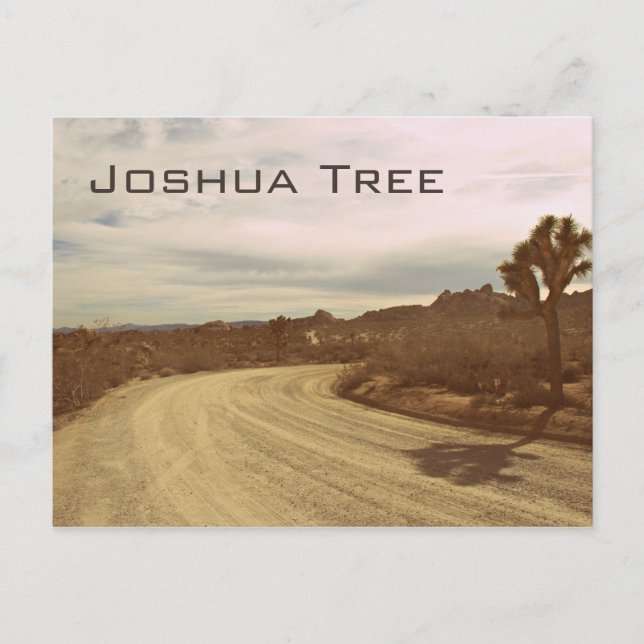 Joshua Tree, California Postcard (Front)