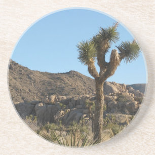 Joshua Tree Coaster