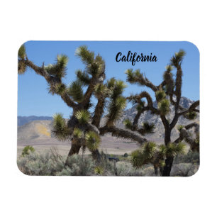 Joshua Tree in California Magnet