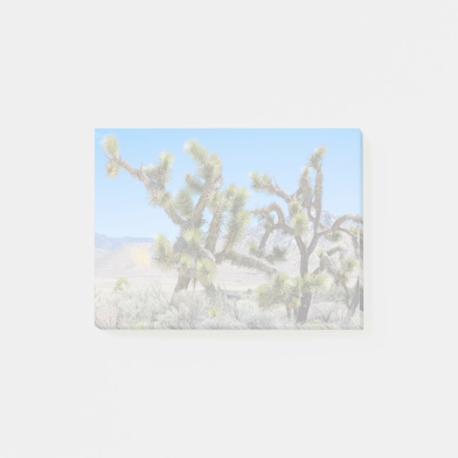 Joshua Tree in California        Post-it Notes (Front)