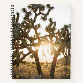 Joshua Tree - Limited Edition Notebook