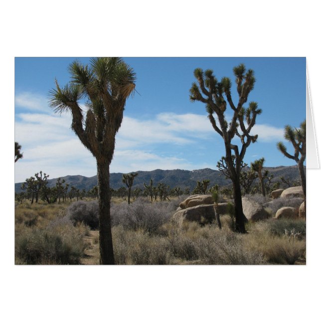 Joshua Tree National Park (Front Horizontal)