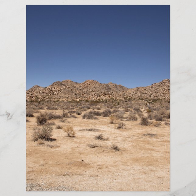 Joshua Tree National Park (Front)