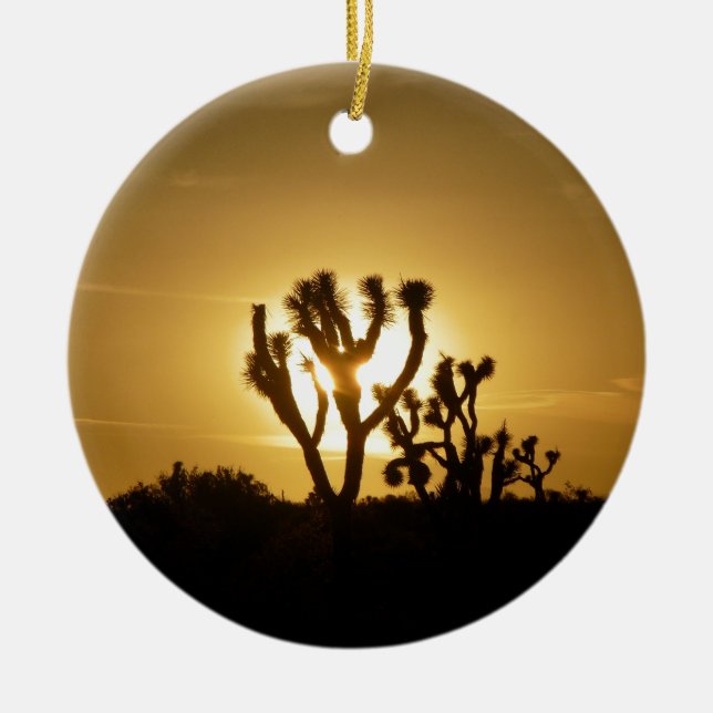 Joshua Tree National Park 5 Ceramic Ornament (Front)