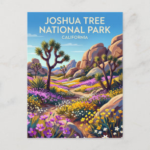 Joshua Tree National Park California Postcard