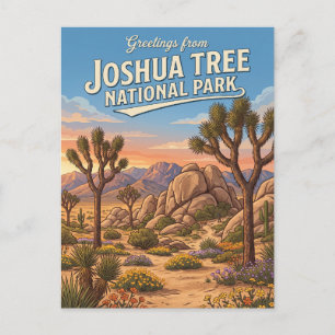 Joshua Tree National Park California Postcard