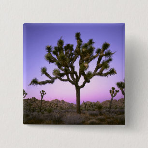 JOSHUA TREE NATIONAL PARK, CALIFORNIA. USA. 15 CM SQUARE BADGE