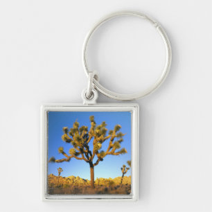 Joshua Tree National Park, California. USA. Key Ring