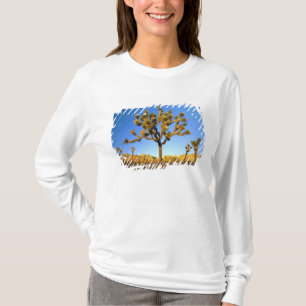 Joshua Tree National Park, California. USA. T-Shirt