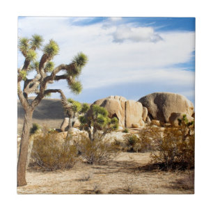 Joshua Tree National Park Ceramic Tile
