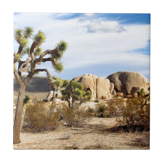 Joshua Tree National Park Ceramic Tile (Front)