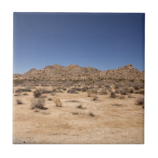 Joshua Tree National Park Ceramic Tile
