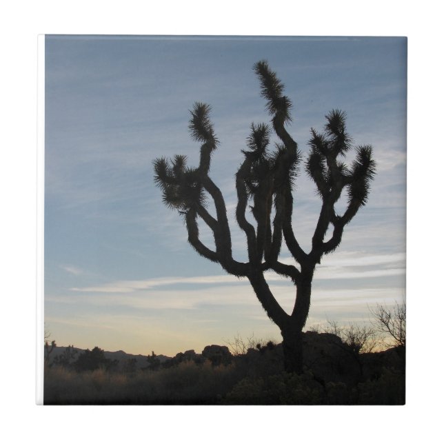 Joshua Tree National Park Ceramic Tile (Front)