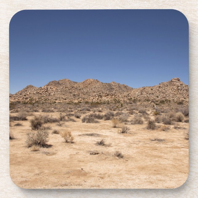 Joshua Tree National Park Coaster (Front)