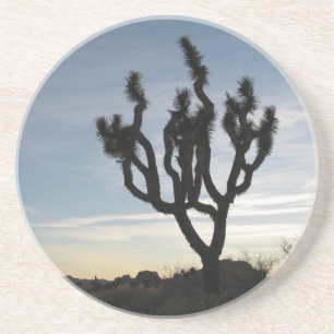 Joshua Tree National Park Coaster