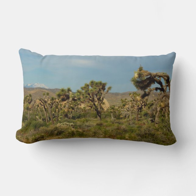 Joshua Tree National Park Desert Landscape Lumbar Cushion (Front)