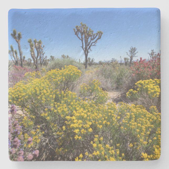 Joshua Tree National Park In Bloom Stone Coaster (Front)