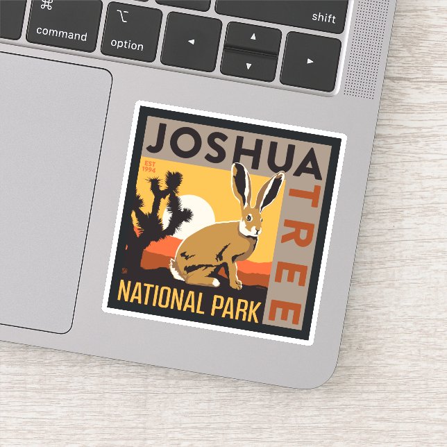 Joshua Tree National Park | Jackrabbit (Detail)