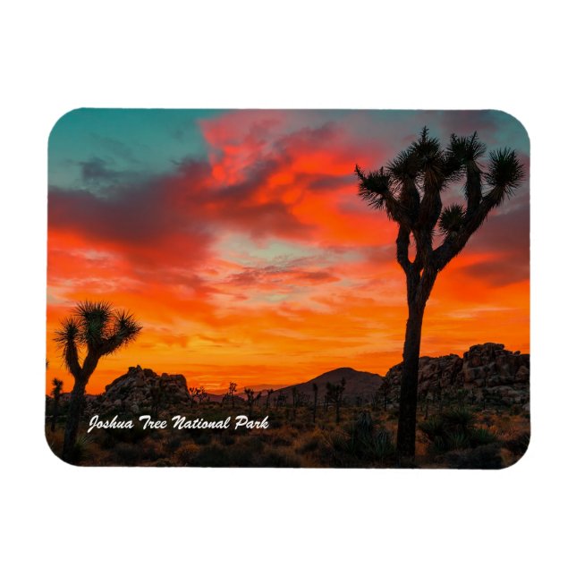Joshua Tree National Park Magnet (Horizontal)
