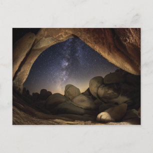 Joshua Tree National Park Night Sky Postcard