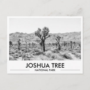 Joshua Tree National Park Photo Stationery Postcard