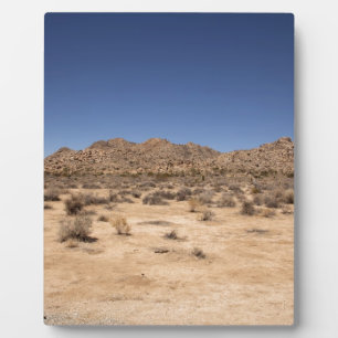 Joshua Tree National Park Plaque