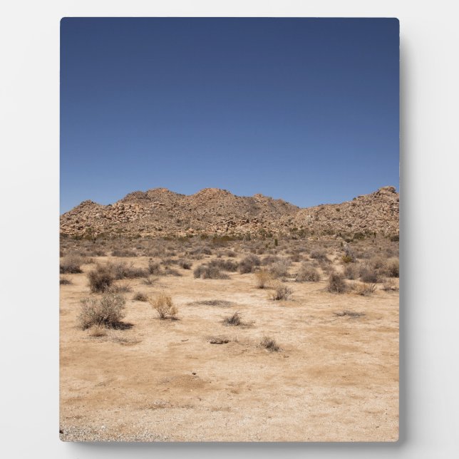 Joshua Tree National Park Plaque (Front)