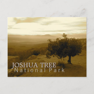 Joshua Tree National Park Postcard