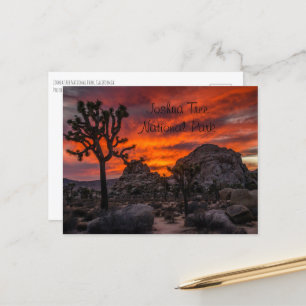 Joshua Tree National Park Red Sunset Postcard