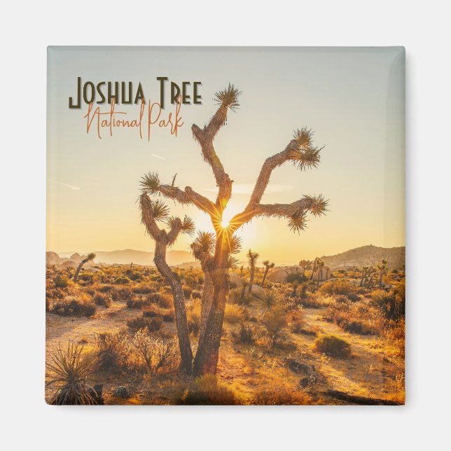 Joshua Tree National Park Souvenir Gift Magnet (Front)