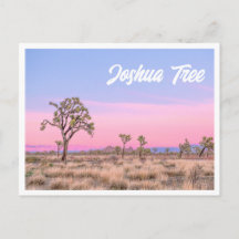 Joshua Tree National Park Sunset Photo Postcard