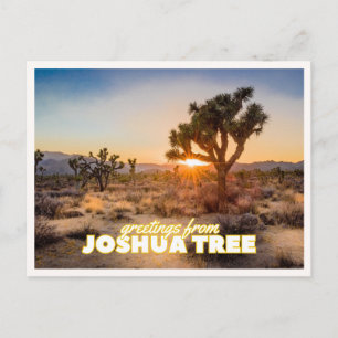 Joshua Tree National Park Sunset Retro Travel Postcard