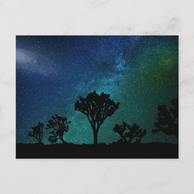 Joshua Tree Night Sky Postcard (Front)