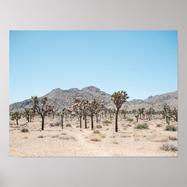 Joshua Tree Park Print Poster Paper (Semi-Gloss) (Front)