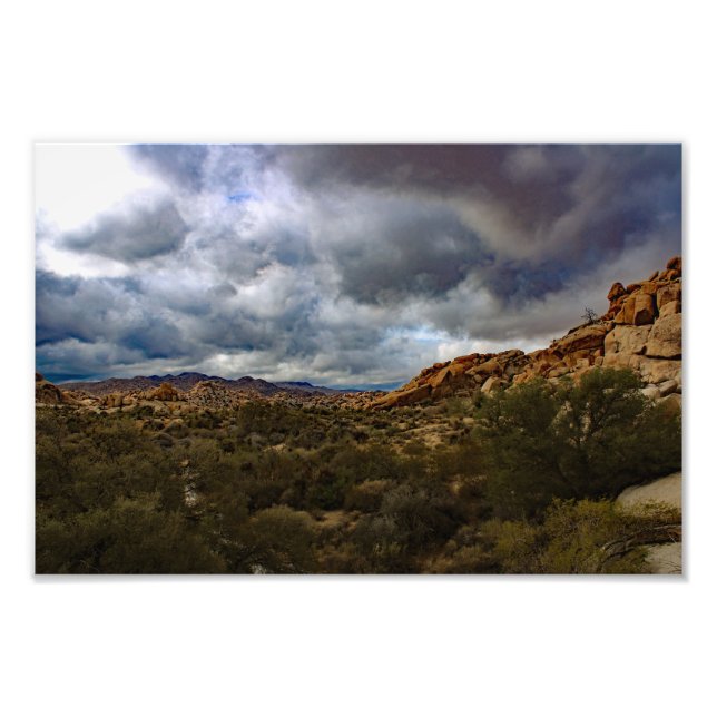 Joshua Tree Photo Print (Front)