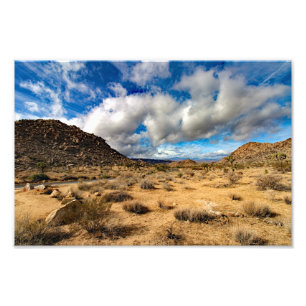 Joshua Tree Photo Print