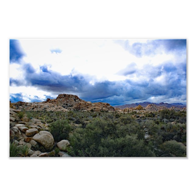 Joshua Tree  Photo Print (Front)