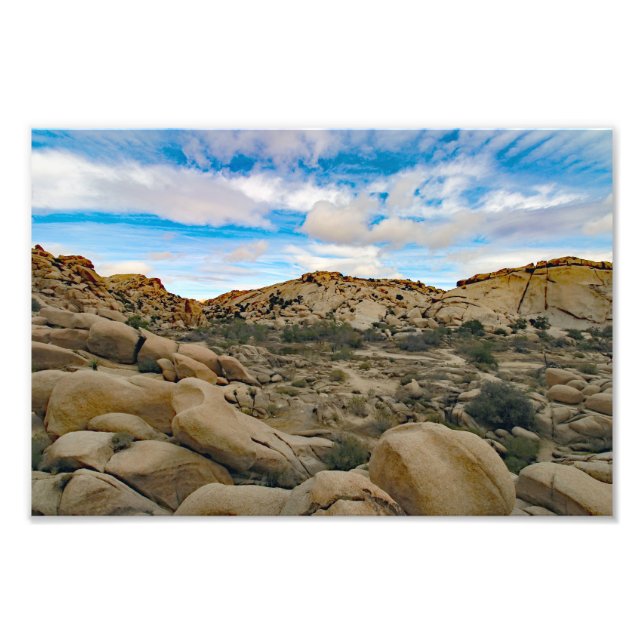 Joshua Tree Photo Print (Front)