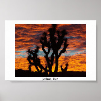 Joshua Tree Poster