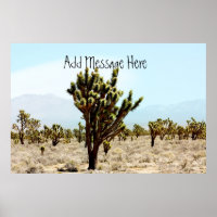 Joshua Tree