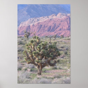 Joshua Tree Poster