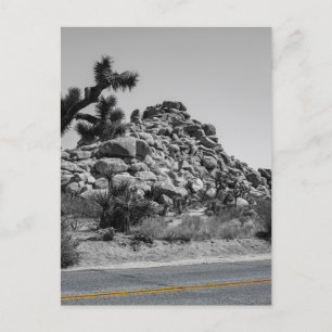 Joshua Tree Rocks with Road - California Photo Postcard