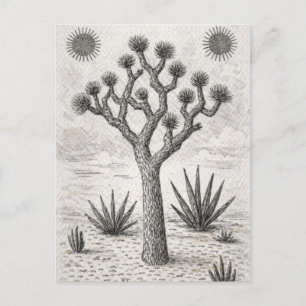 joshua tree sketch desert sketch art announcement postcard