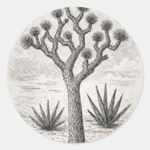 joshua tree sketch desert sketch art classic round sticker
