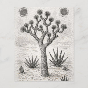 joshua tree sketch desert sketch art flyer
