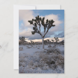 Joshua Tree Snowy Morning #2 Save The Date